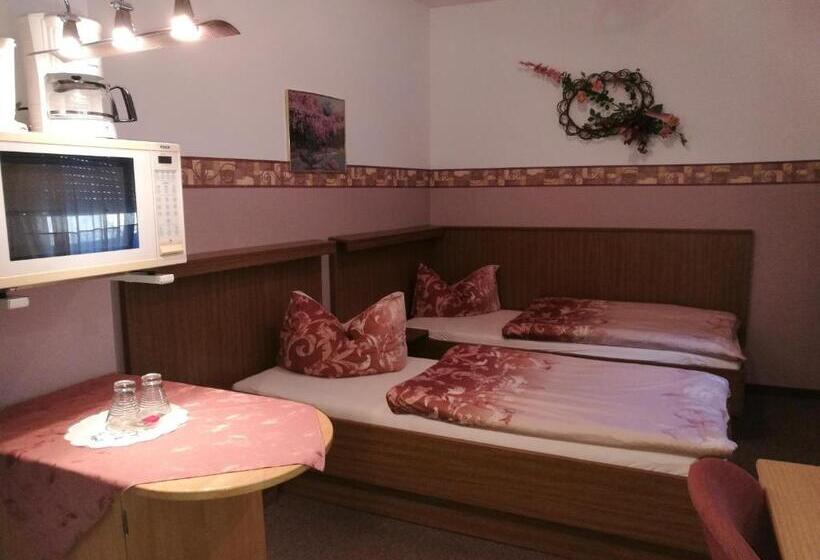 Студия Стандарт, Pension City