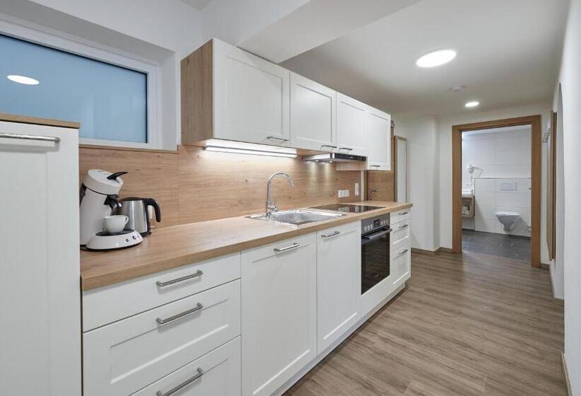 Апартаменты 3 Спальни, Appartment Ransburggut