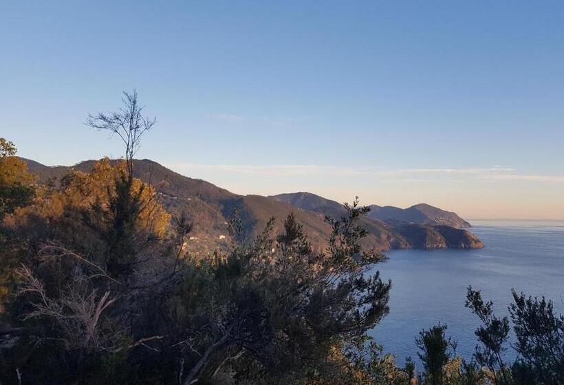 إستوديو كلاسيكى, Il Laghello Di Amina