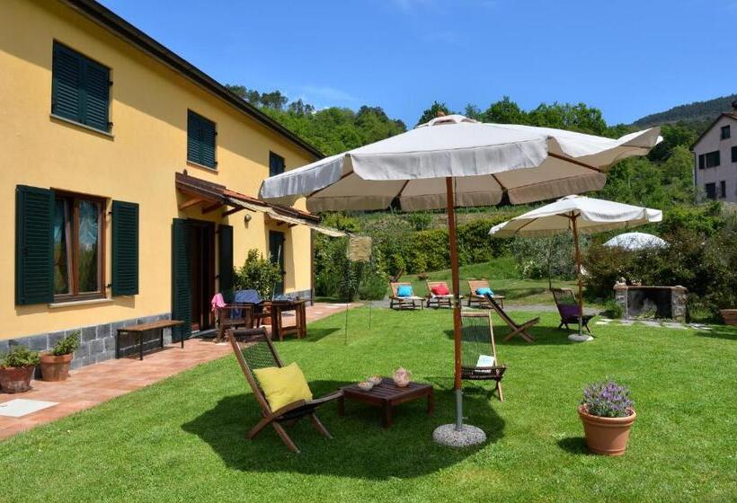إستوديو كلاسيكى, Il Laghello Di Amina