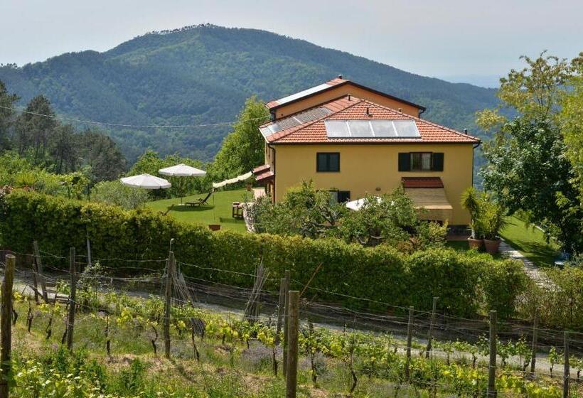 Апартаменты 2 Спальни, Il Laghello Di Amina