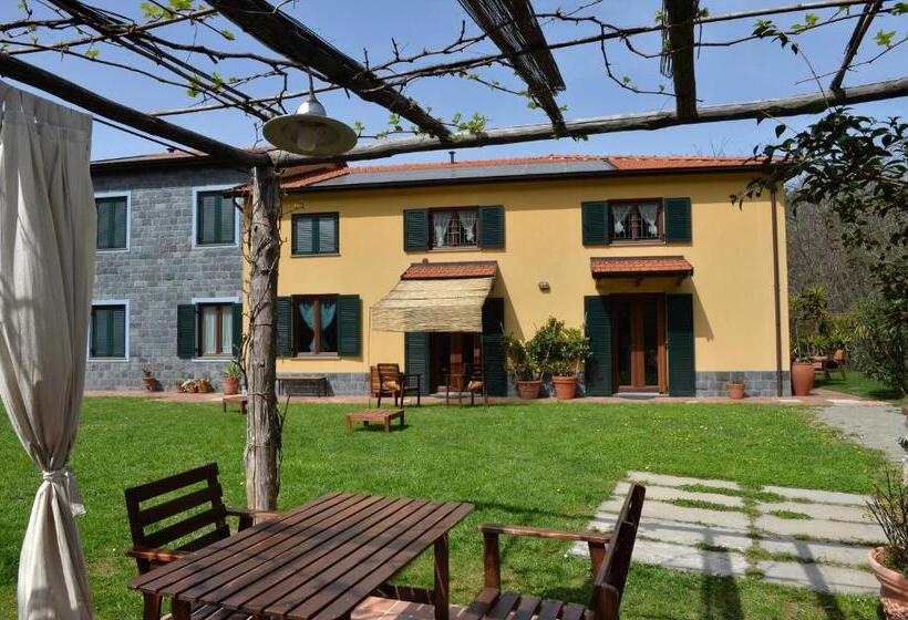 Студия Классика, Il Laghello Di Amina