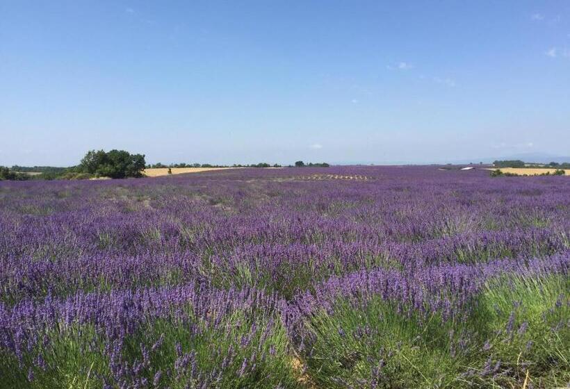 패밀리 룸, B&b En Provence  Villa Saint Marc