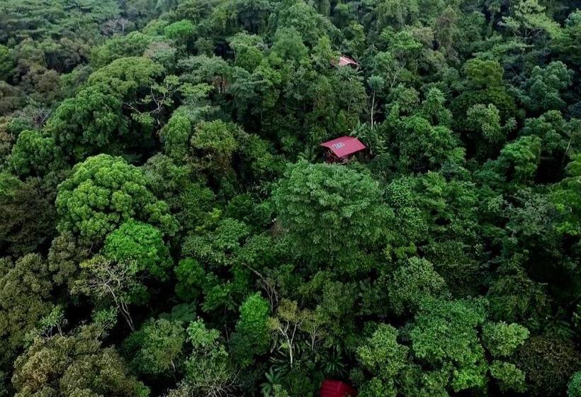Бунгало Стандарт, La Loma Jungle Lodge And Chocolate Farm