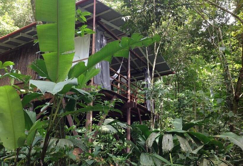 בקתה סטנדרטית, La Loma Jungle Lodge And Chocolate Farm