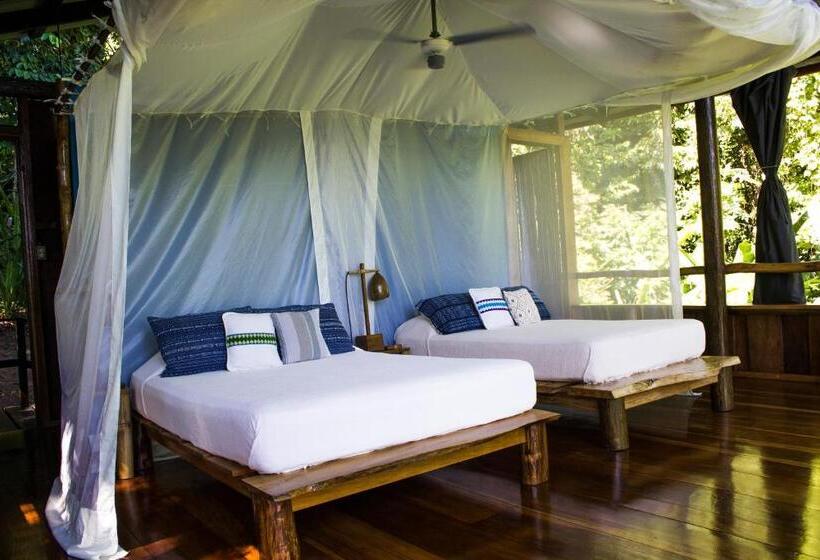 Бунгало Стандарт, La Loma Jungle Lodge And Chocolate Farm