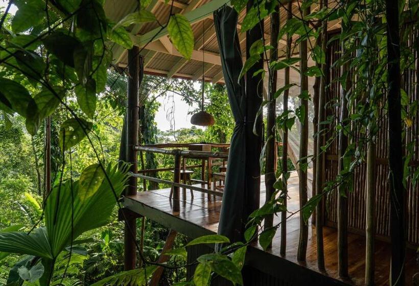 Семейное Бунгало, La Loma Jungle Lodge And Chocolate Farm