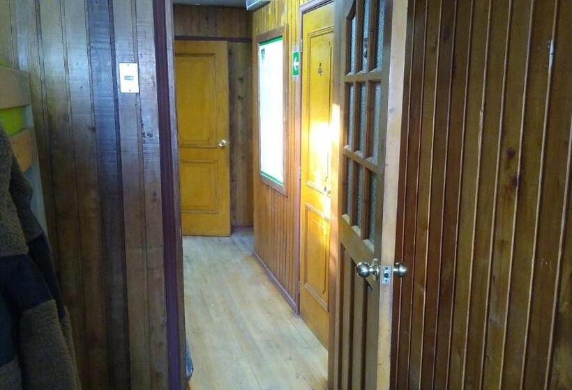 سرير فى غرفة مشتركه, Islanet Hostel & Bar