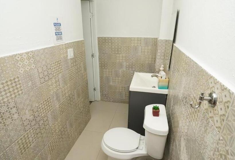 اتاق استاندارد با 2 تخت دوبل, The Pelican Poshtel