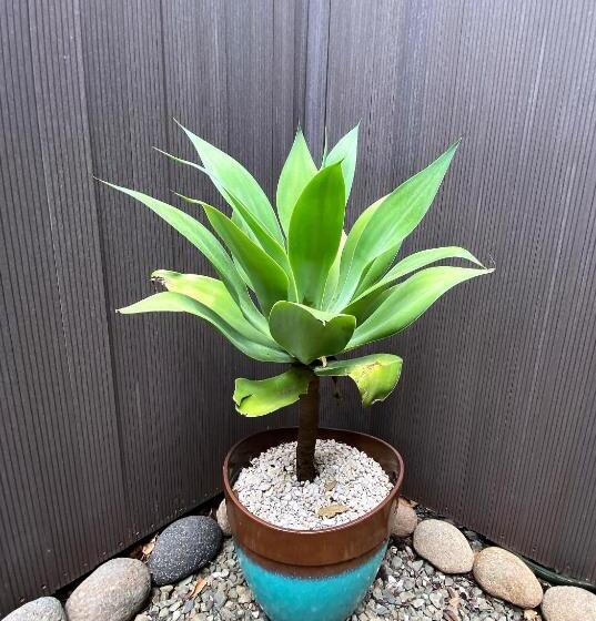 1침실 빌라 정원 전망, Villas Kalei