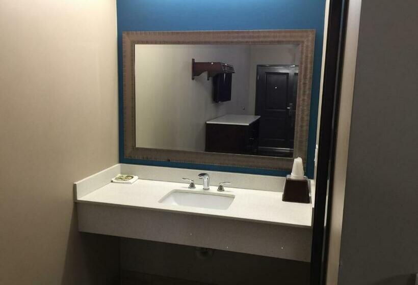 Номер Deluxe Кровать Кинг, Crystal Palace Inn