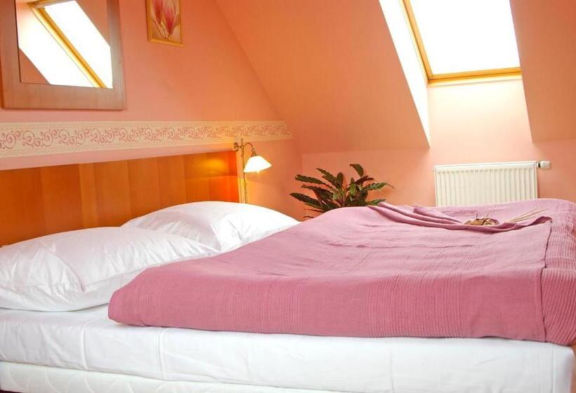 Quarto Basic, Penzion Bene