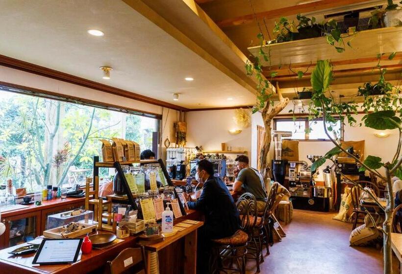 주니어 스위트, Blue Steak Wonder Nagahama Okinawa Yomitan