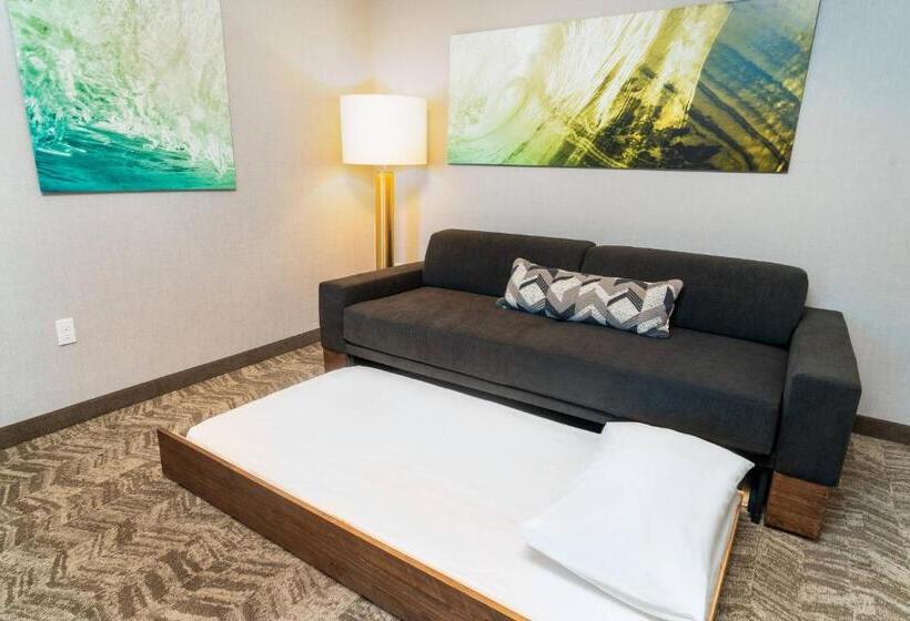 Люкс, Springhill Suites By Marriott Newark Fremont