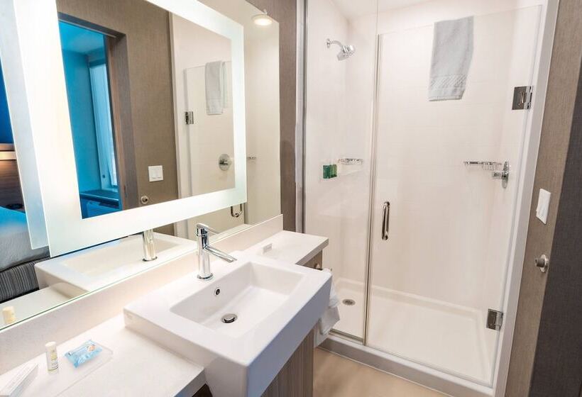 Люкс, Springhill Suites By Marriott Newark Fremont