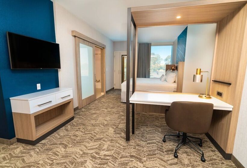 Люкс, Springhill Suites By Marriott Newark Fremont