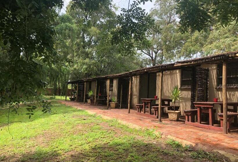 اتاق کلاسیک, Treetopia Guesthouse