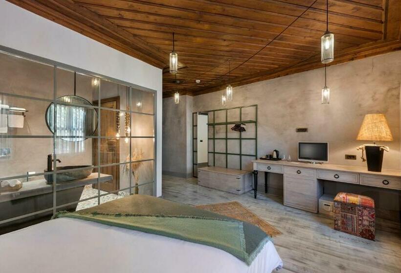 خانه 1 خوابه, Casa Sur Antalya