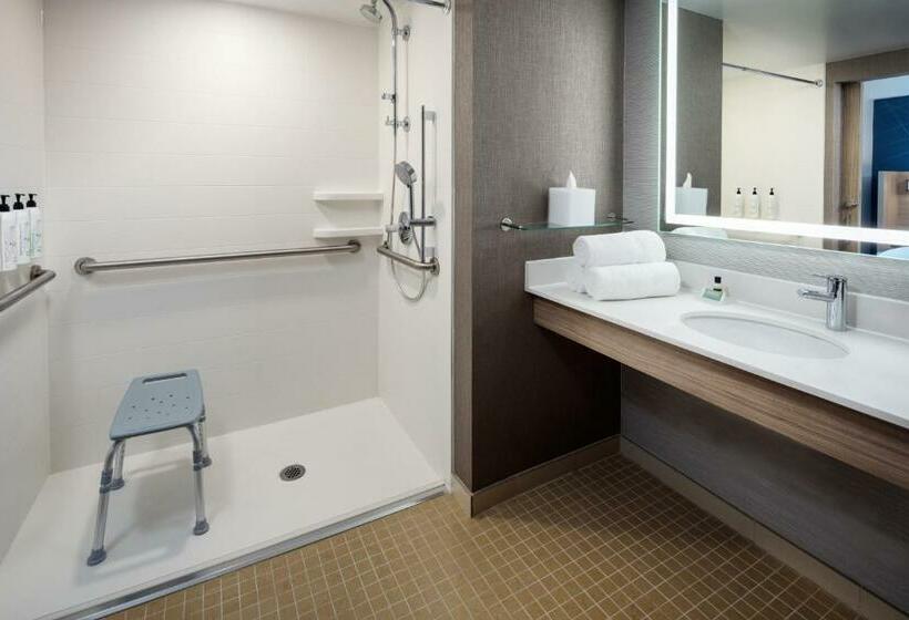 Люкс Кровать Кинг, Springhill Suites By Marriott New York Jfk Airport/jamaica
