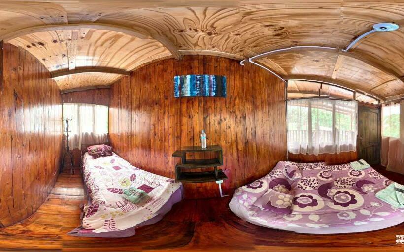 Habitación Estándar, Mindoxtrem Birds