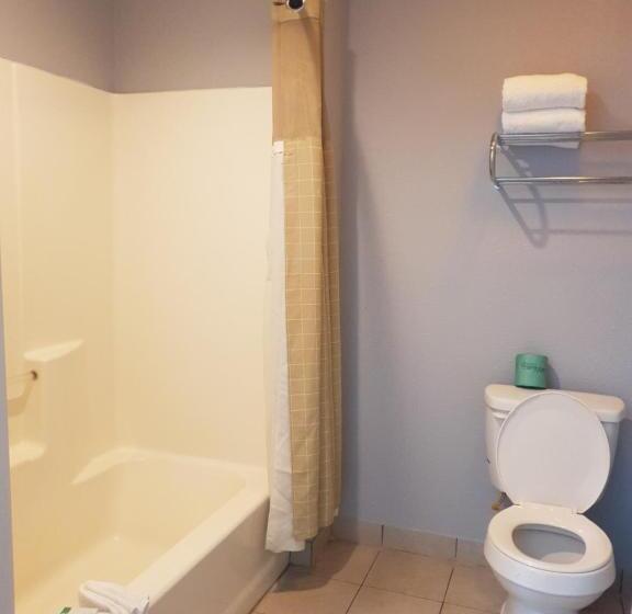 Номер Deluxe Кровать Кинг, Riata Inn   Crystal City