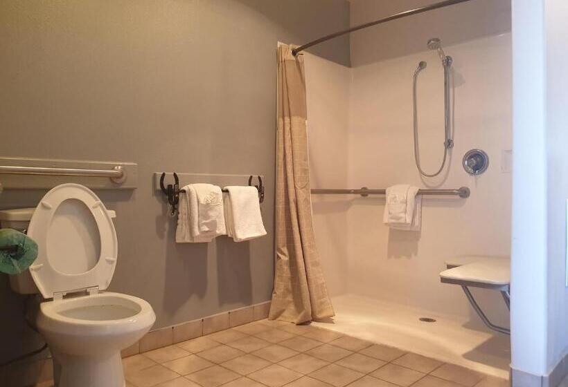 Номер Стандарт Кровать Кинг Адаптированный для Инвалидов, Riata Inn  Marfa
