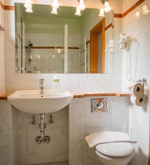 Номер Стандарт с Балконом, Panoramahotel Wagner   Das Biohotel Am Semmering
