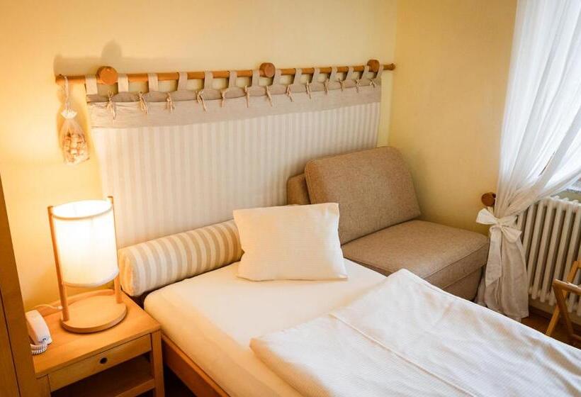 スタンダードシングルルーム, Panoramahotel Wagner   Das Biohotel Am Semmering