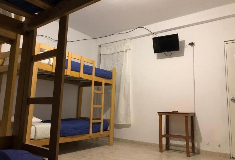 Семейный Номер, Buganvilia