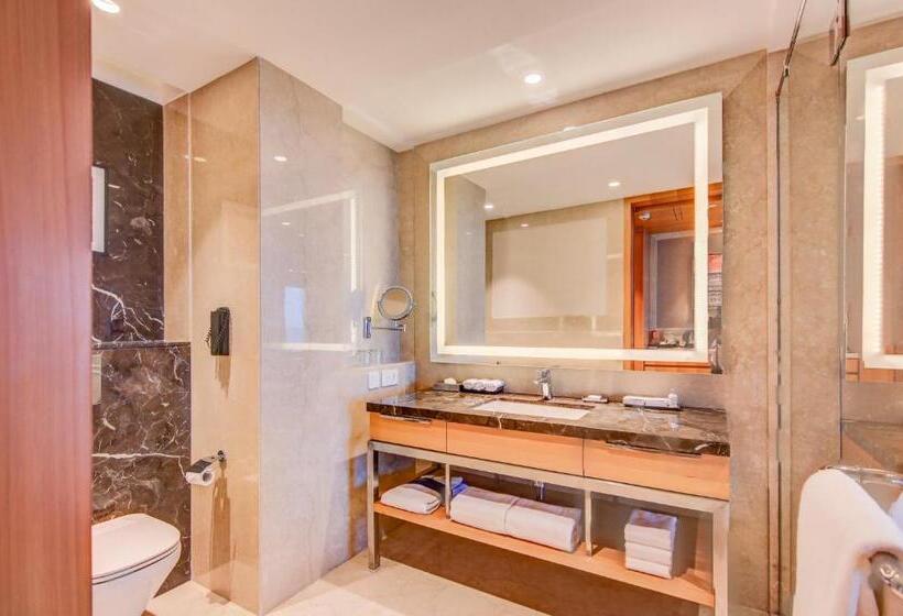 Номер Deluxe с Балконом, Radisson Blu Gorakhpur