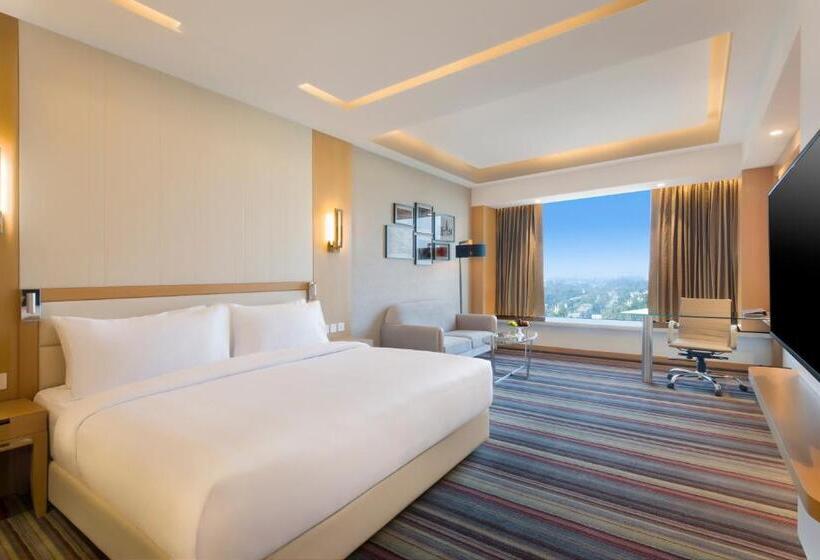 Номер Стандарт, Radisson Blu Gorakhpur