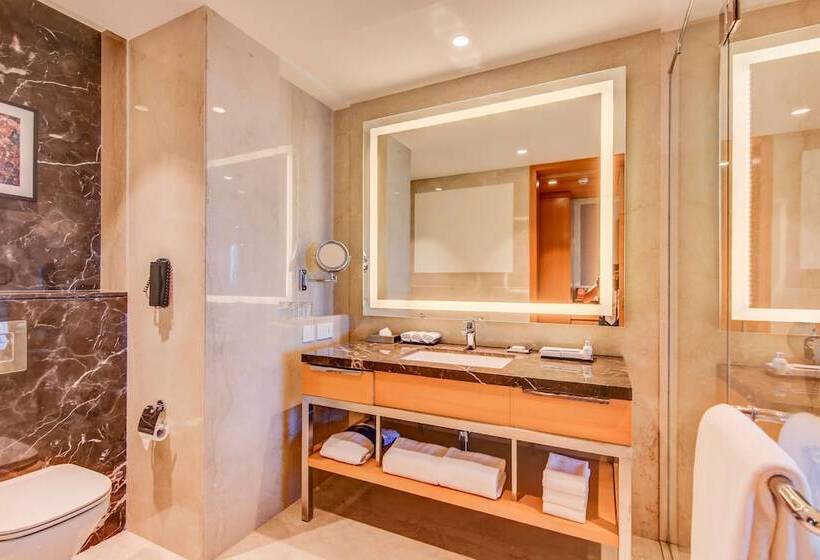 Номер Стандарт, Radisson Blu Gorakhpur