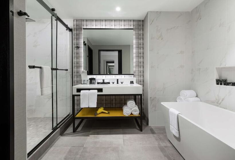 جناح, Hyatt Centric Mountain View