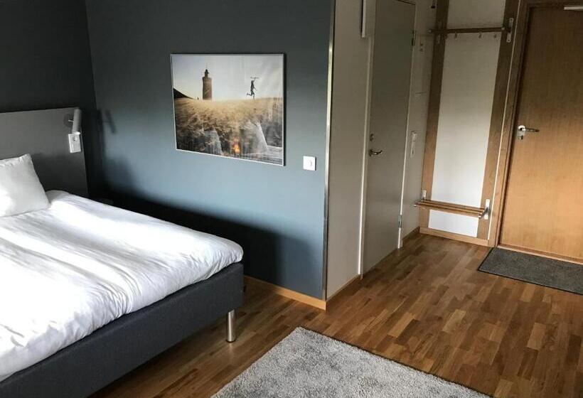 استودیوی استاندارد با تخت دوبل, The Studio