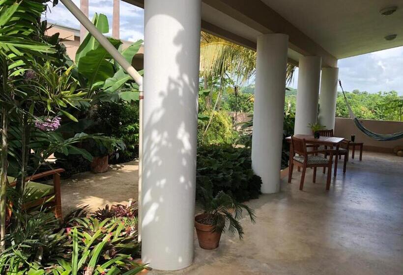 ویلای 1 خوابه, 4 Casitas