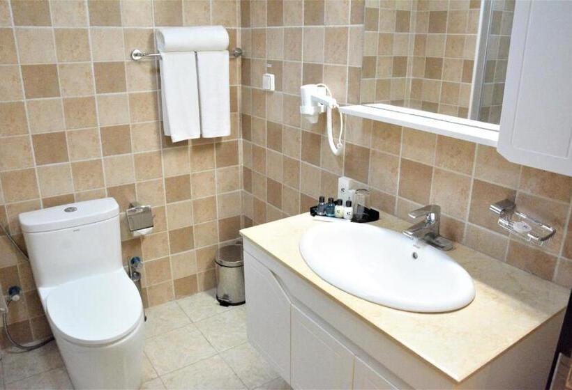 اتاق لوکس یک تخته, Capital Hotel Djibouti