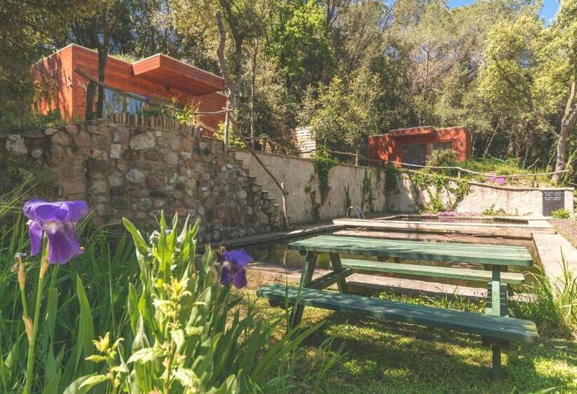 خانه یا کلبه ی ییلاقی با نمای استخر, Can Caponet