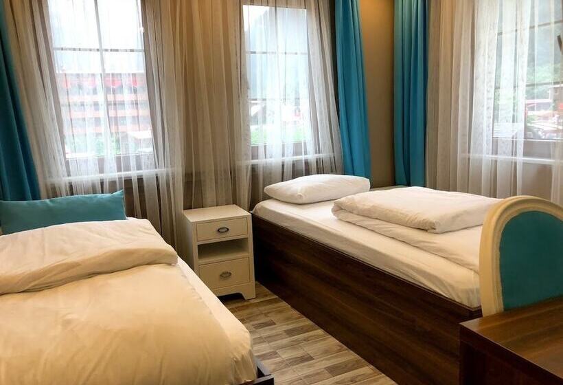 Family Suite, Hayat Rose