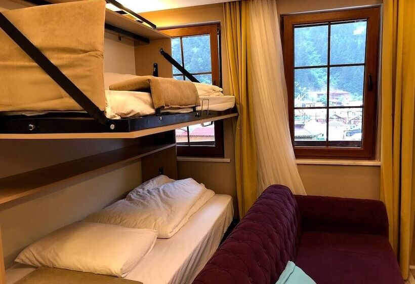 Family Suite, Hayat Rose