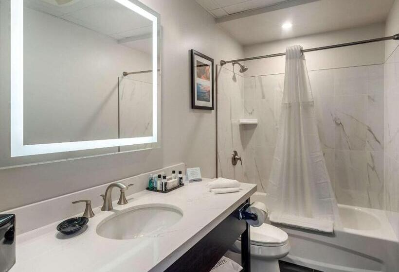 חדר סופריור מותאם לאדם עם מוגבלויות, The Courthouse Hotel, Ascend Hotel Collection