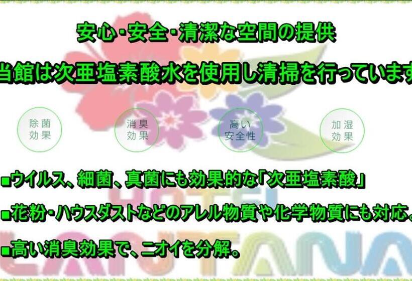 스탠다드 룸, Lantana Osaka
