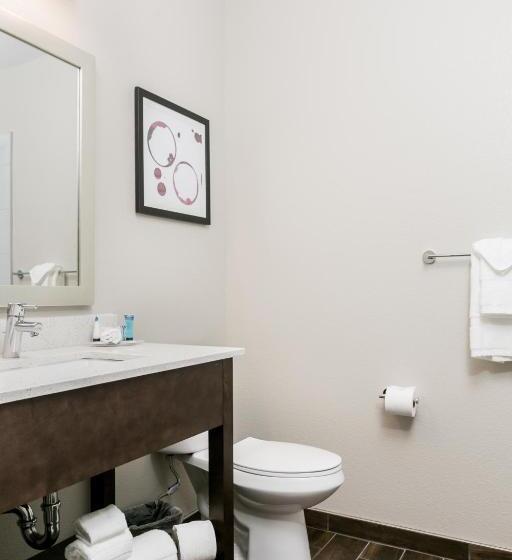 Номер Deluxe, Siri Downtown  Paso Robles