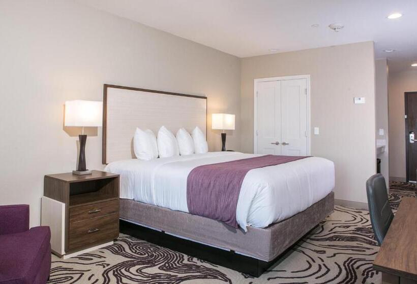 اتاق استاندارد با تخت بزرگ, Siri Downtown  Paso Robles