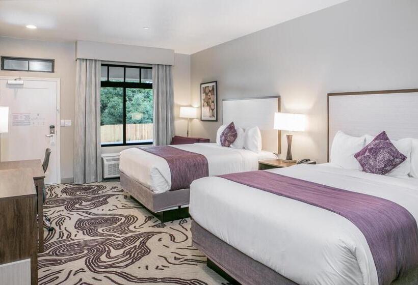 اتاق استاندارد برای معلولان, Siri Downtown  Paso Robles