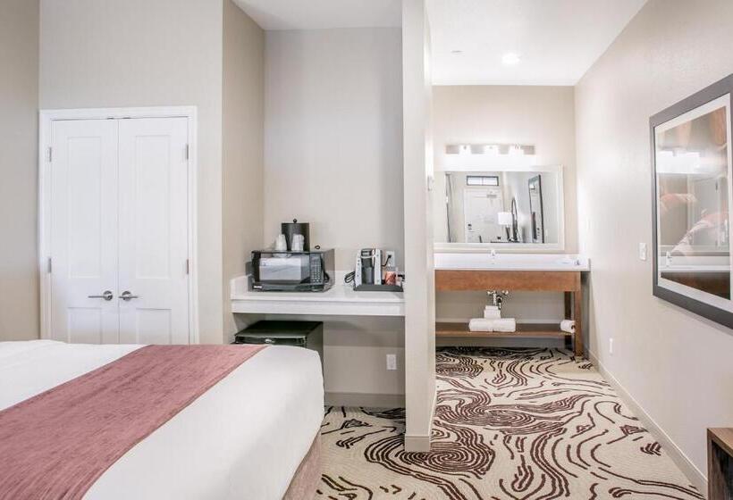 Номер Deluxe, Siri Downtown  Paso Robles