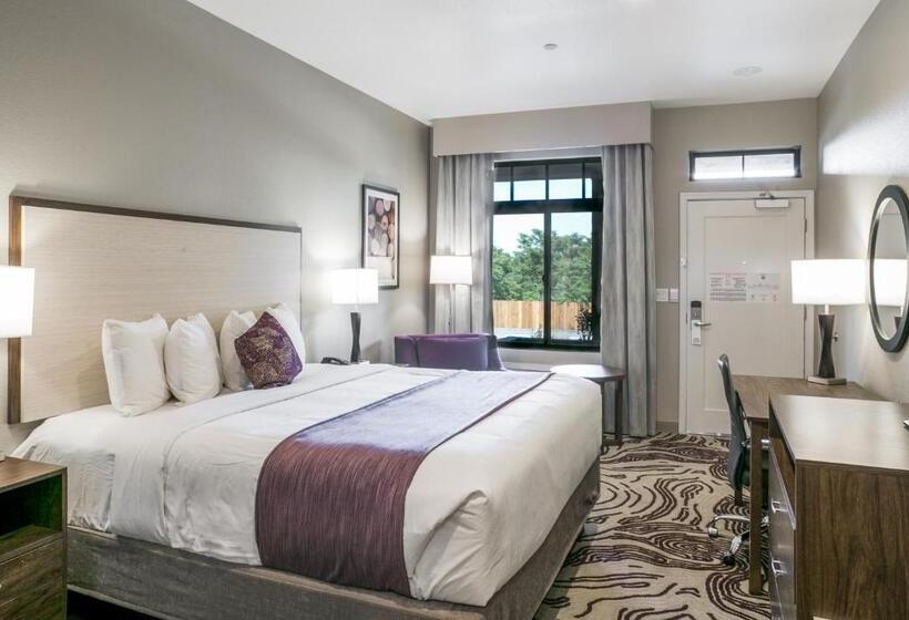 Стандартный Номер Кровать Кинг, Siri Downtown  Paso Robles