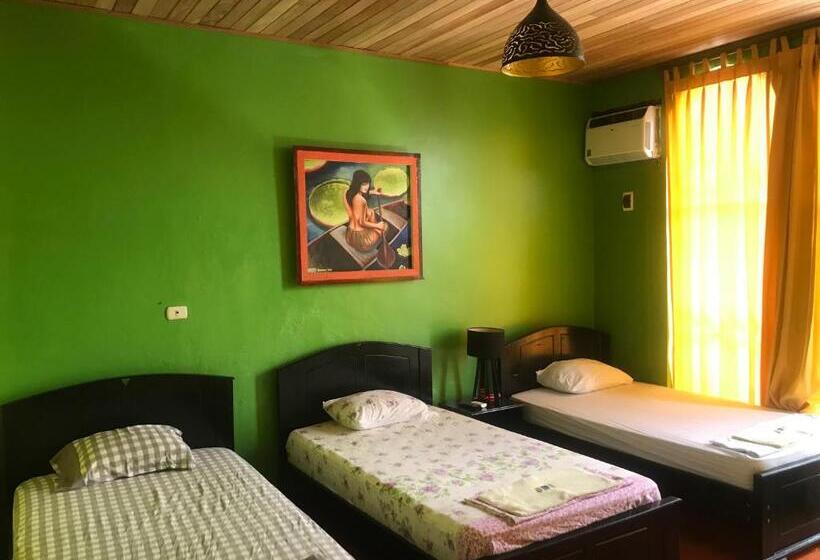 חדר סטנדרט לשלושה, Amazon Dream Hostel With Ac And Starlink