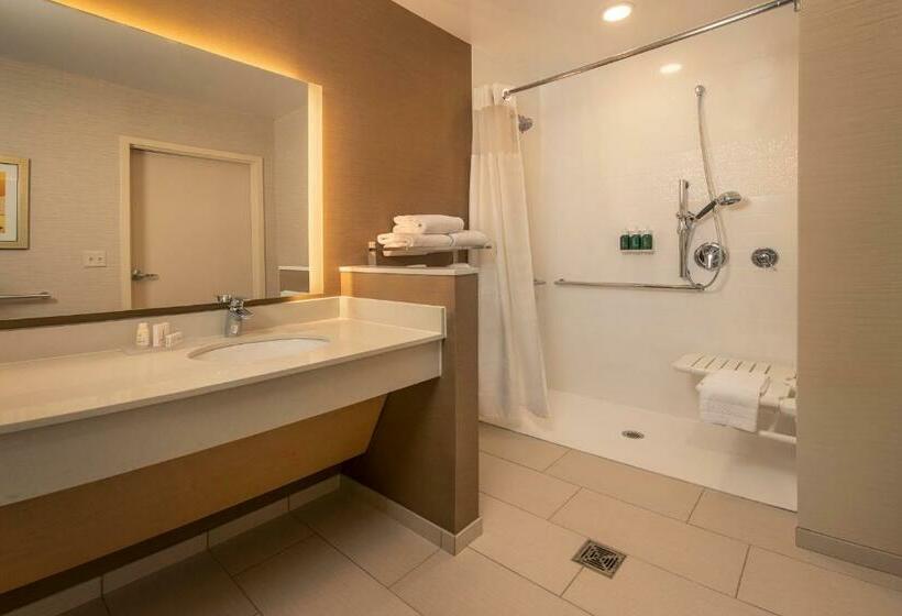 Стандартный Номер Кровать Кинг, Fairfield Inn & Suites By Marriott Harrisburg International Airport
