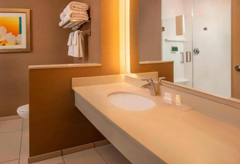 Номер Стандарт Кровать Кинг Адаптированный для Инвалидов, Fairfield Inn & Suites By Marriott Harrisburg International Airport