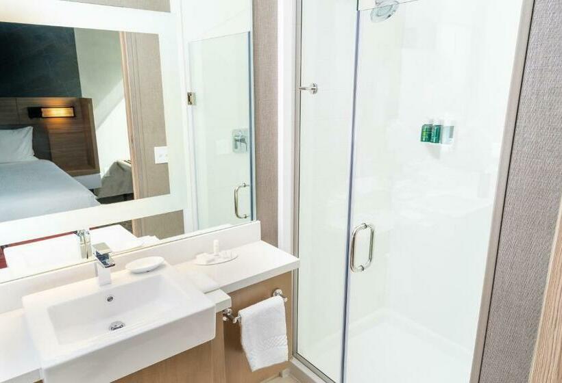 스위트 킹사이즈 침대, Springhill Suites By Marriott Ontario Airport/rancho Cucamonga